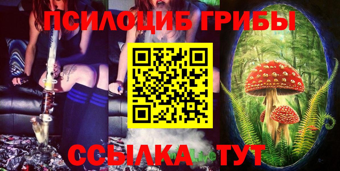 Сергиев Посад  купить  цена  Вход с VPN  Галлюциногенные грибы прущие грибы 